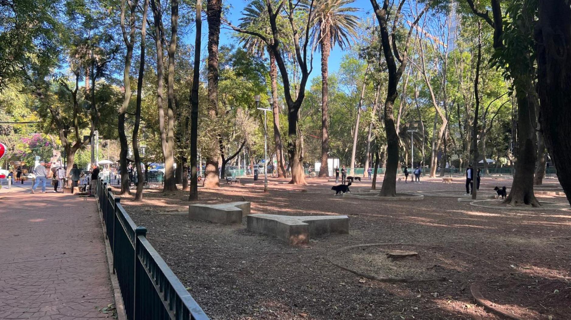 Condesa Campeche 9 Comfortable 2 Bedroom, 1 Bath Retreat Featuring Generous Spaces Apartment Mexico City